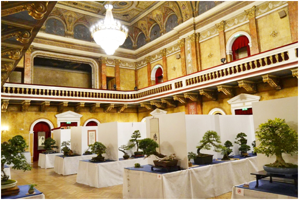 Umenie prírody a človeka - príďte na Bonsai Prešov Exhibition 2019 Umenie prírody a človeka - príďte na Bonsai Prešov Exhibition 2019