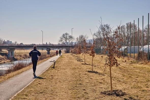 Prešov bude zelenší, v marci pribudne vyše 300 drevín a krov